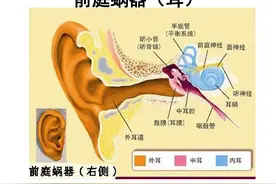 缓解和治疗头晕的“前庭功能训练”康复操，对晕车也很有效图片