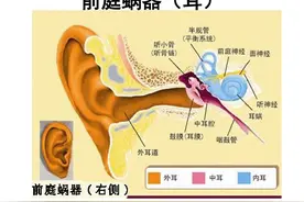 缓解和治疗头晕的“前庭功能训练”康复操，对晕车也很有效图片