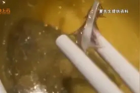 西兰花中吃出虫子、汤中吃出鸽子毛 昌邑男子在同一饭店两次中奖图片