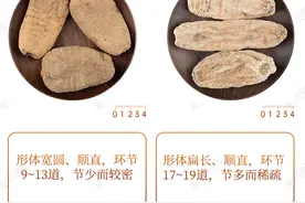 不同产地天麻的对比图片