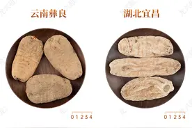 不同产地天麻的对比图片