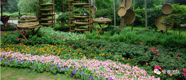 生物刺激素2：氨基酸