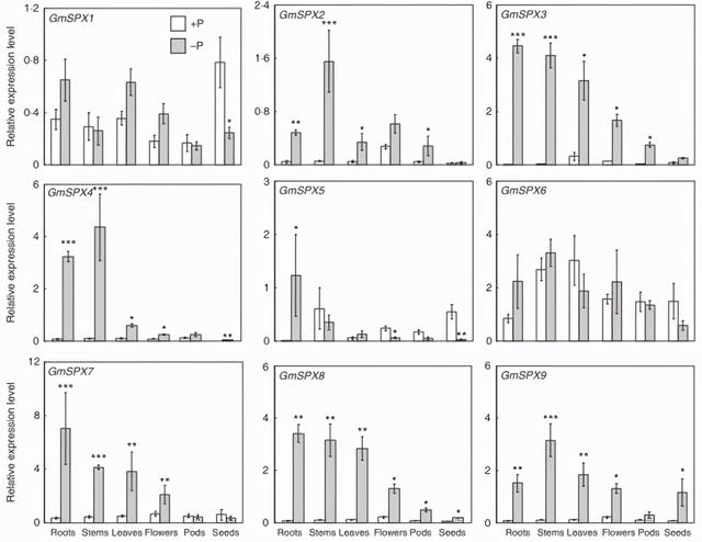 基因功能研究的那些套路你知道多少？（中）