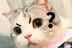 当一个拥有猫薄荷体质人是什么体验？图片
