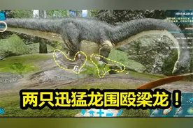方舟手游04：在荒岛上遇到两只迅猛龙攻击梁龙，结果我渔翁得利！视频封面