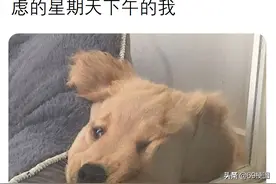 梗图合集：一想到星期一要上班，就焦虑得睡不着觉的我图片
