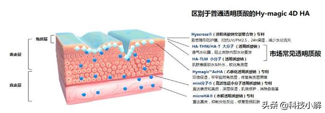 绯欐眽绮楁毚鎶よ偆娉曪紝杩欎箞澶氬潙蹇烦杩囷紒灏忕背鏈夊搧榛戠鎶€鏄纭墦寮€鏂瑰紡