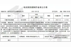 9月新区新添一部电视剧获备案公示图片