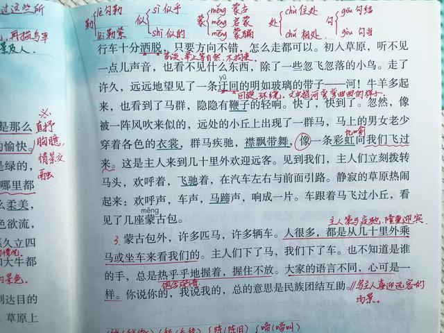 语文《草原》，看资深教师手写笔记，学生看了表示很有用
