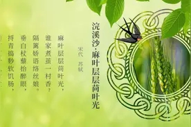 “小满”有南北两种不同说法，哪种才是真小满？图片