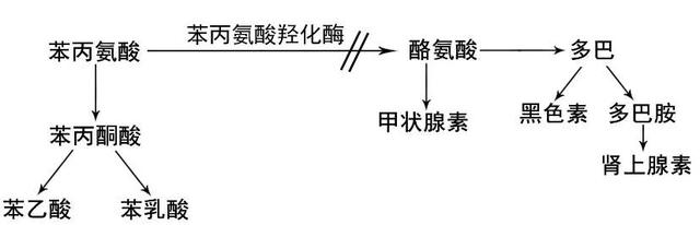 特配粉怎么选？它是宝宝生病时的营养餐，这些适应症妈妈要记住