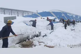暴雪突袭导致牛舍坍塌，养殖户失声痛哭！牛舍到底应该怎么建？图片