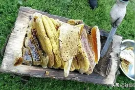 同是菜花蜜，中蜂蜜1斤100块，意蜂蜜1斤10块，价格高质量就好？图片