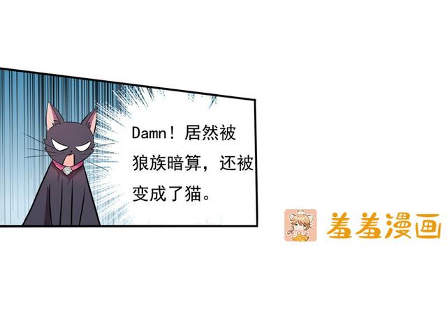 夜路走多了，竟捡到宝，带着巨钻的小黑猫一只