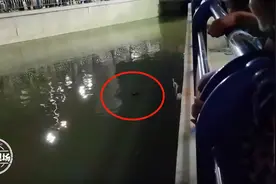 南昌瑶湖出现男尸！当晚，湖边夜钓者曾目击当事人图片