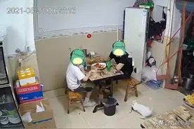 四川一饭馆上演猫抓老鼠，动作果断堪比大片，食客看得直挠头图片