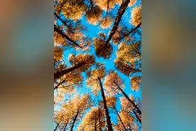 旅行照片这样拍，真的是在浪费机票，风光摄影的3个实用技巧图片