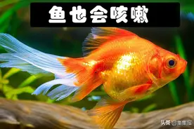 通过7个知识向你证明，这个世界比你想象中的更有趣图片