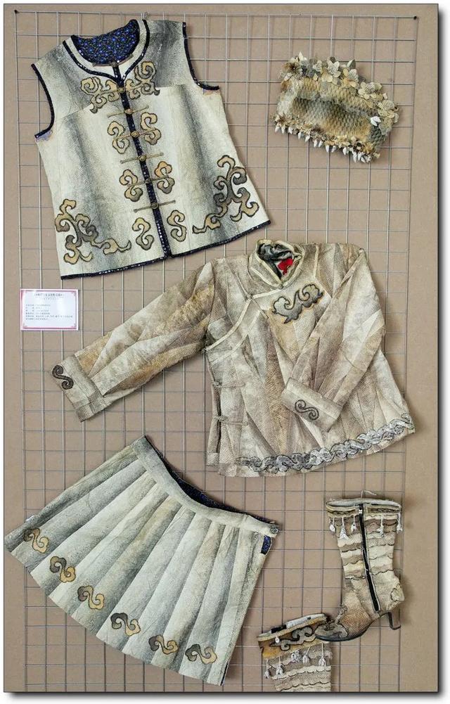 如何泡发干鱼皮 2026年怎么泡发干鱼皮 如何泡发干鱼皮 2026年怎么泡发干鱼皮