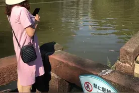 美炸了！长宁人被连续4道彩虹刷屏了！你见到了吗？图片