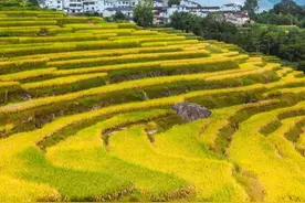 叮咚！你的小清新景点攻略到了 不出省享受好风景图片