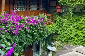 重庆73岁老奶奶气质优雅，开了家开满鲜花的客栈，游客来了不愿走图片