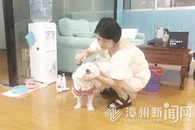 漳州：“80后”女生自发参与动物保护，志愿救助流浪狗，乐为狗寻觅新主人——这位“狗姐姐”很赞图片