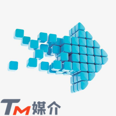 TMý飺ƹվ󷽷