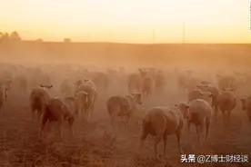2070年，30亿人面临生存危机，科学家称拯救地球即拯救人类自己图片