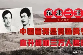 东北“二王”案件回顾：为什么案发后七个月才最终被击毙？图片