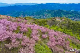 金寨这个乡镇又发现一处奇景图片