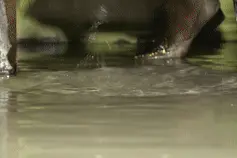“密室逃脱店”被水淹，物业却让业主先自行止水！淘水的速度赶不上冒水的速度，咋办？图片