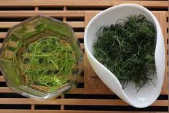 绞股蓝泡多长时间能倒掉？龙须茶第一泡要倒掉吗？图片
