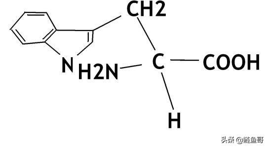 茶叶含有些什么东西？今天给大家科普下