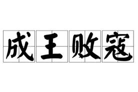 胜者王侯败者贼辩图片