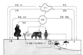 农业发展的新技术应用和碳中和图片