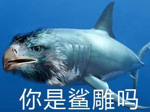 《黑神话：悟空》还没上线就被破解了？连山寨手游，页游都有了？