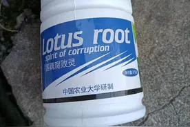 莲藕种植户总被“假药”坑骗，这些坑你跳过吗？图片