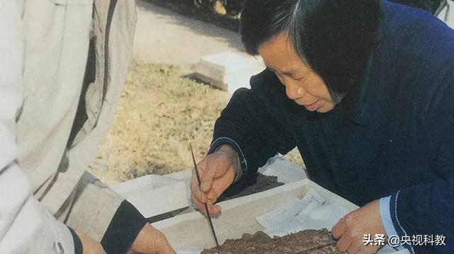 甲骨文的前世今生