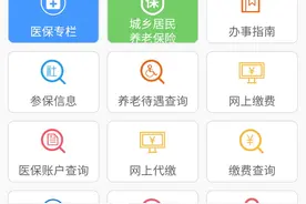 耒阳市城乡居民养老保险生存认证流程图片