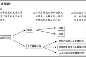 人工骨膜的材料选择、理论设计及生物仿生功能图片