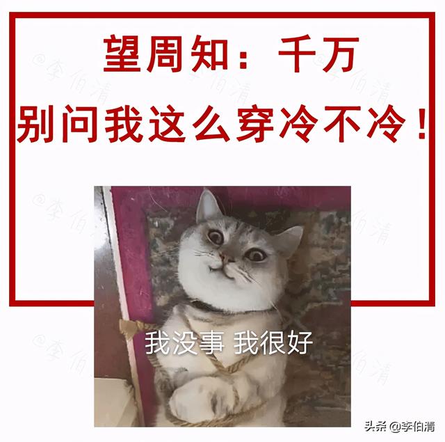 十斤鱼一两胶 2026年十斤鱼几两盐