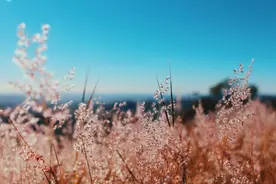 心若年轻，岁月不老图片