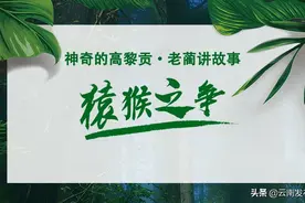 #网聚云南相约COP15#神奇高黎贡|老蔺讲故事·猿猴之争图片