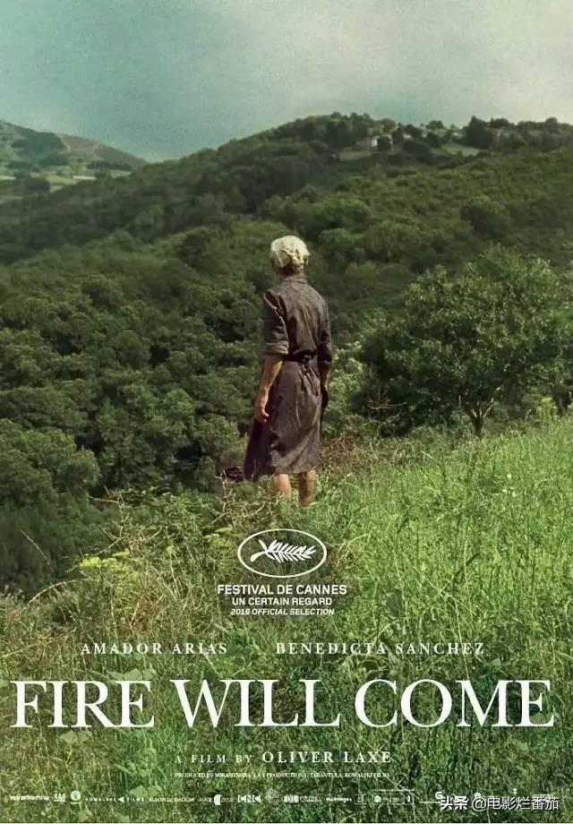 ��13����Ƭ������һ����Ӱ�ڣ������и���