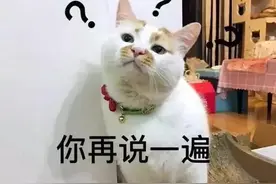 猫咪真的很邪门？养了猫之后，家里竟然开始发生灵异事件图片
