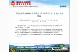 国家储备林项目操作流程图片