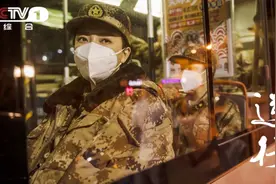 《最美逆行者》今晚开播 陈数王志飞领衔《逆行》图片