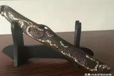 古代奇宝——大禹治水定水带：一根破旧的古铁条，竟是上古奇珍图片