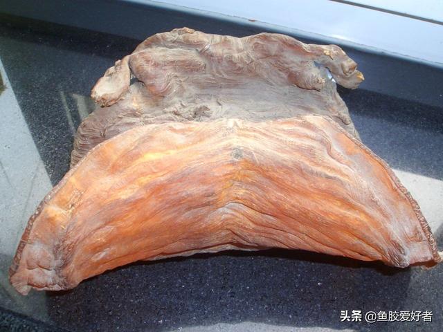 花胶一周吃几次好 2026年花胶一周吃两次有用吗